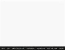 Tablet Screenshot of dyevercity.com